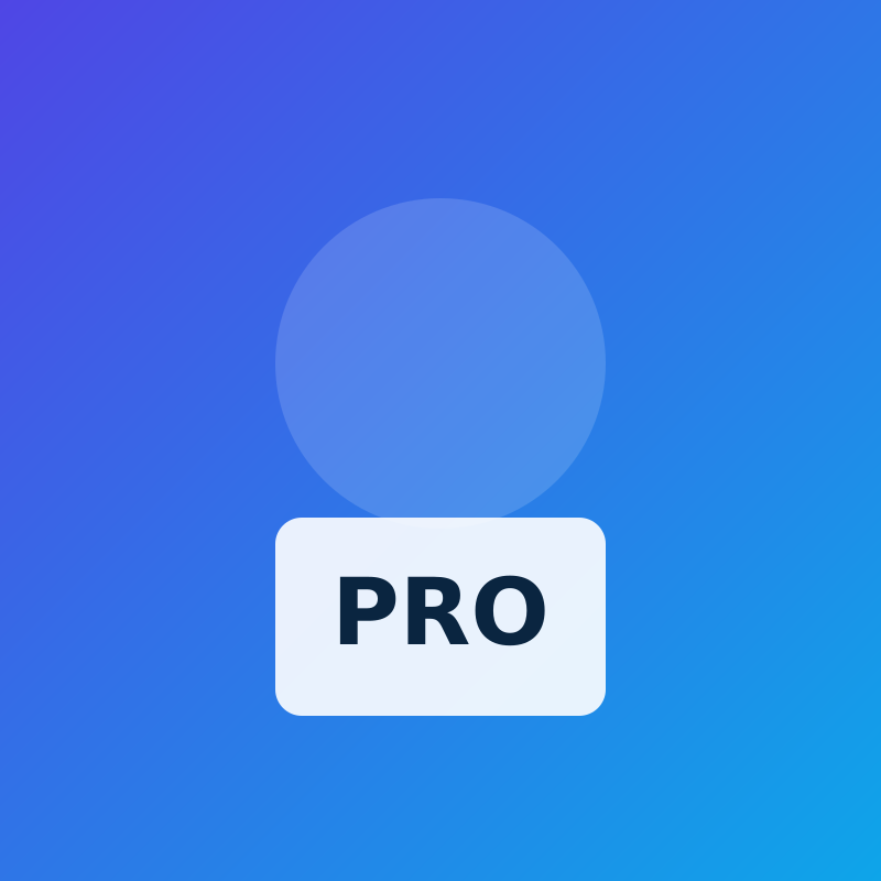 Pro Plan — Lifetime